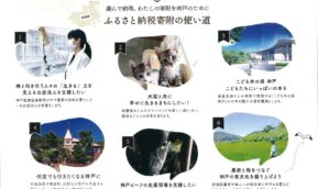 12/31締切間近【ふるさと納税】KOBE学生サポート－新型コロナの影響を受ける学生を支援－【選べる返礼品】